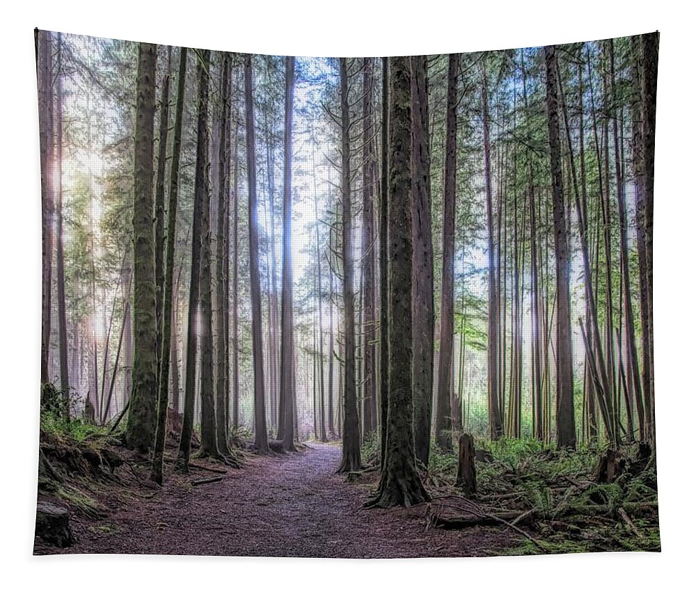 Landscape Tapestry featuring the photograph A Path Through Old Growth Stylized by Allan Van Gasbeck