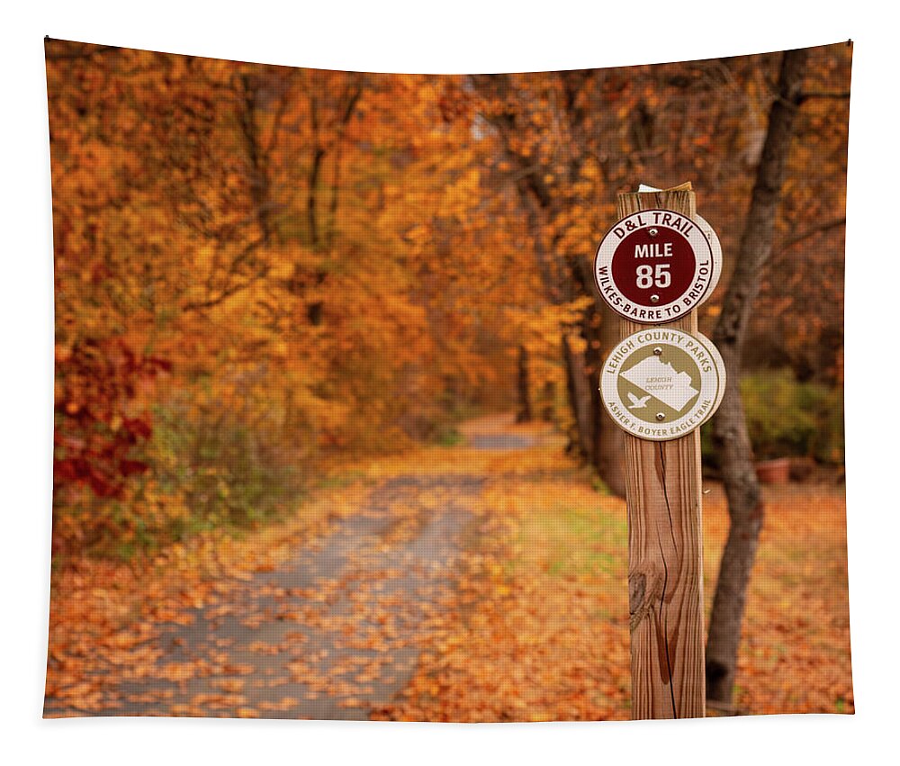 D&l Tapestry featuring the photograph DL Trail North Whitehall Township by Jason Fink