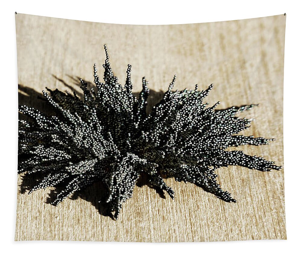 Magnetic Explosion Tapestry featuring the photograph Magnetic Explosion 04 by Weston Westmoreland