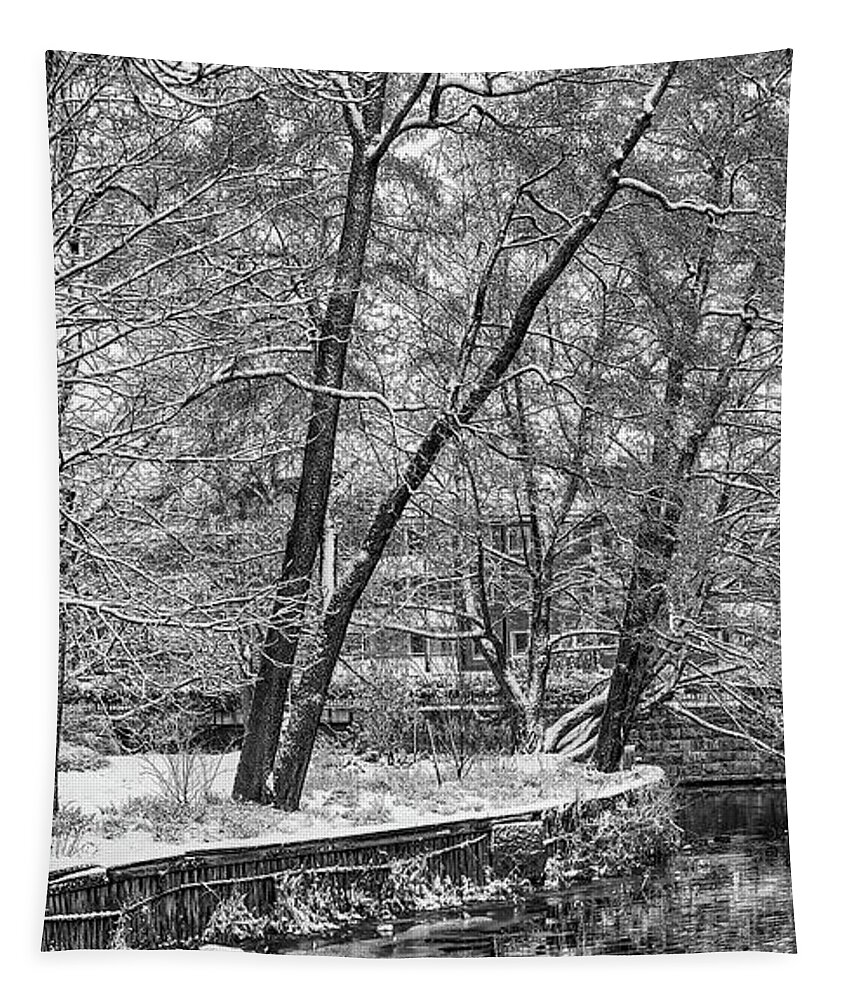 Winter Morning Bw Tapestry featuring the photograph winter morning BW #k6 by Leif Sohlman