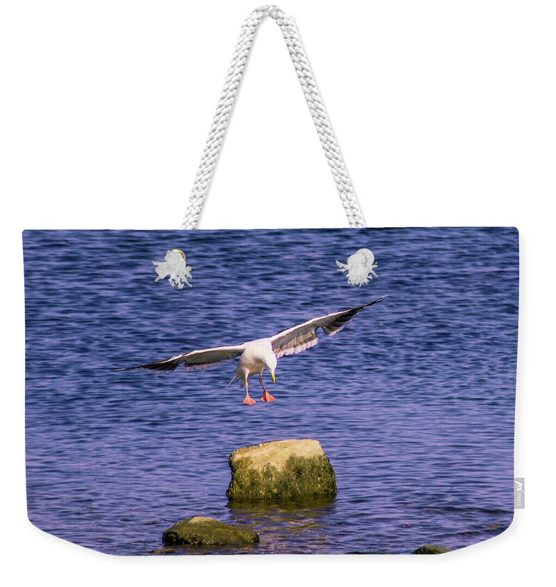 Birds Weekender Tote Bag featuring the photograph Aerial Assault by Marcus Jones