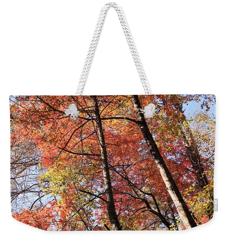 Fall Trees Weekender Tote Bag featuring the photograph Fall's Splendor by Karen Ruhl