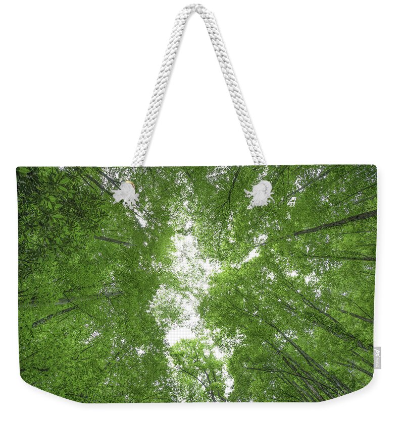 Art Prints Weekender Tote Bag featuring the photograph Trees 01 by Nunweiler Photography