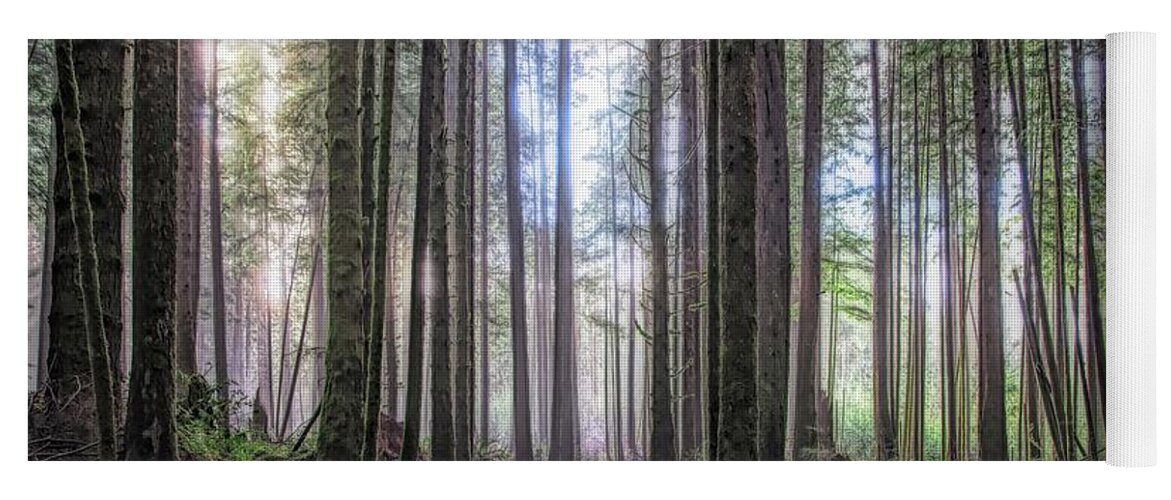 Landscape Yoga Mat featuring the photograph A Path Through Old Growth Stylized by Allan Van Gasbeck