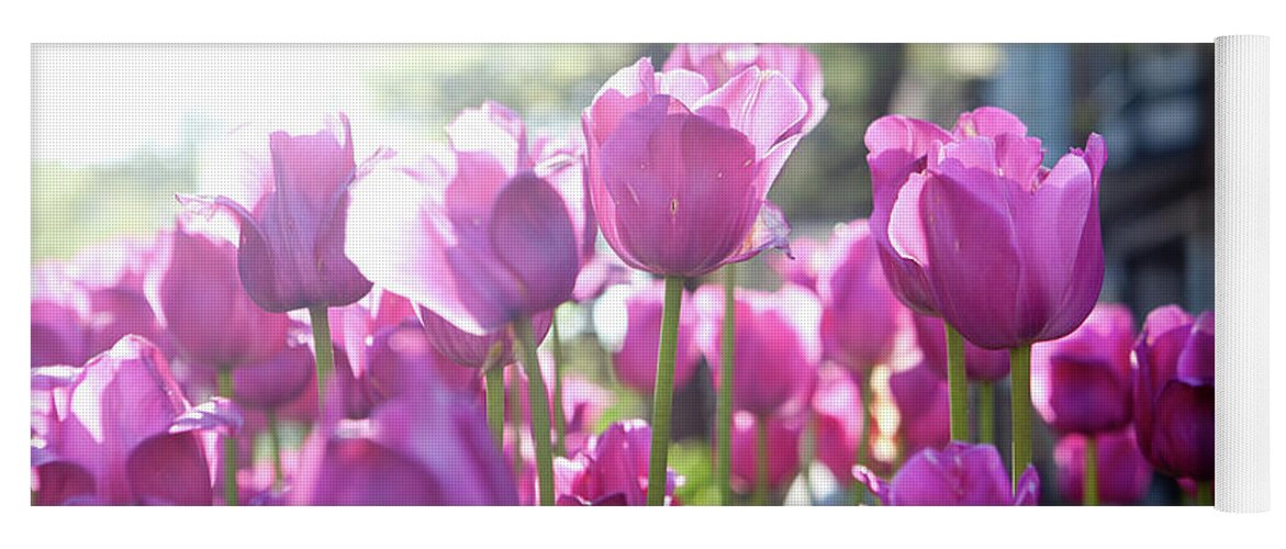 Tulips Yoga Mat featuring the photograph Lavender Tulips by Rich S
