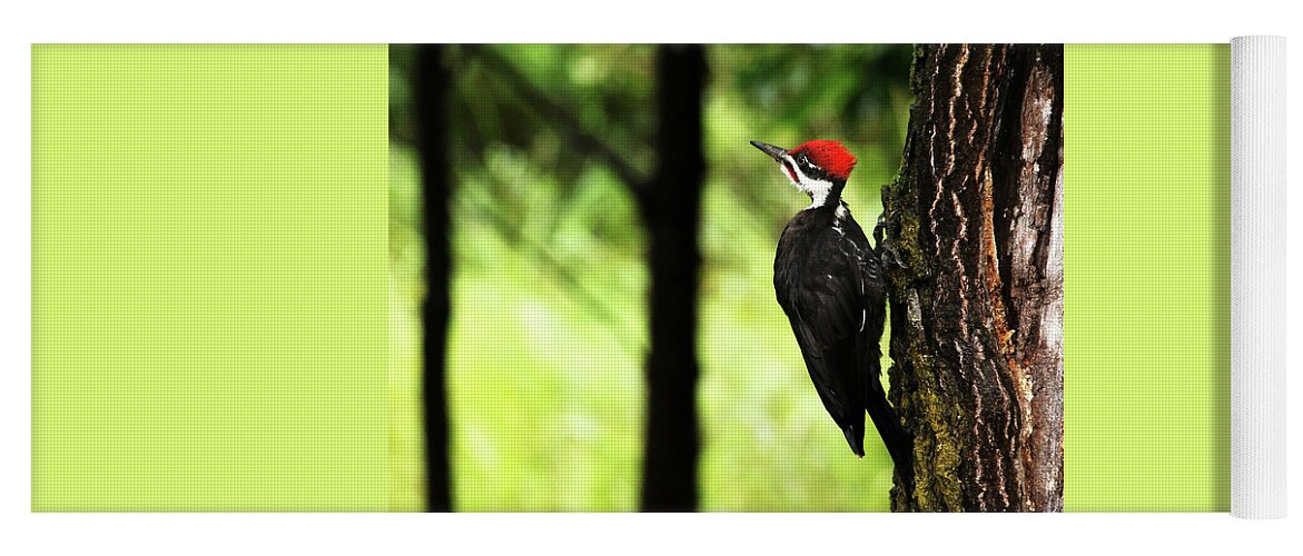 Pileated Woodpecker Yoga Mat featuring the photograph Woody Woodpecker by Debbie Oppermann