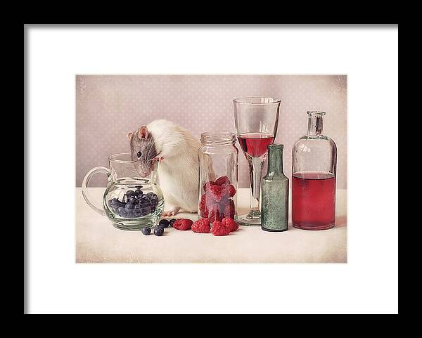 Fruit Framed Print featuring the photograph Curious #1 by Ellen Van Deelen