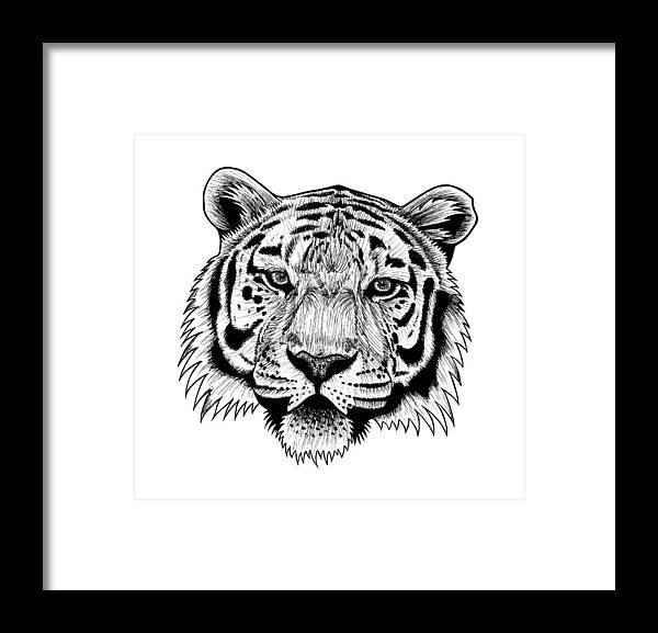 Tiger Framed Print featuring the drawing Amur tiger face big cat ink illustration by Loren Dowding