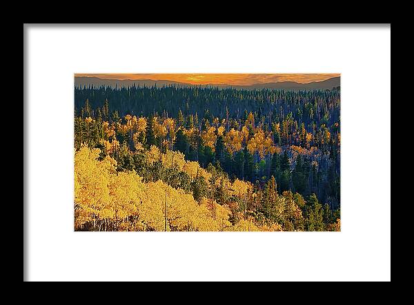 Sunset Framed Print featuring the photograph Aspens in Wilderness by George Garcia