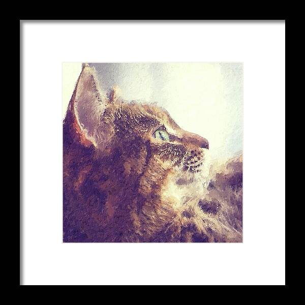Tabby Framed Print featuring the painting Happy tabby cat basking in the sun by Custom Pet Portrait Art Studio