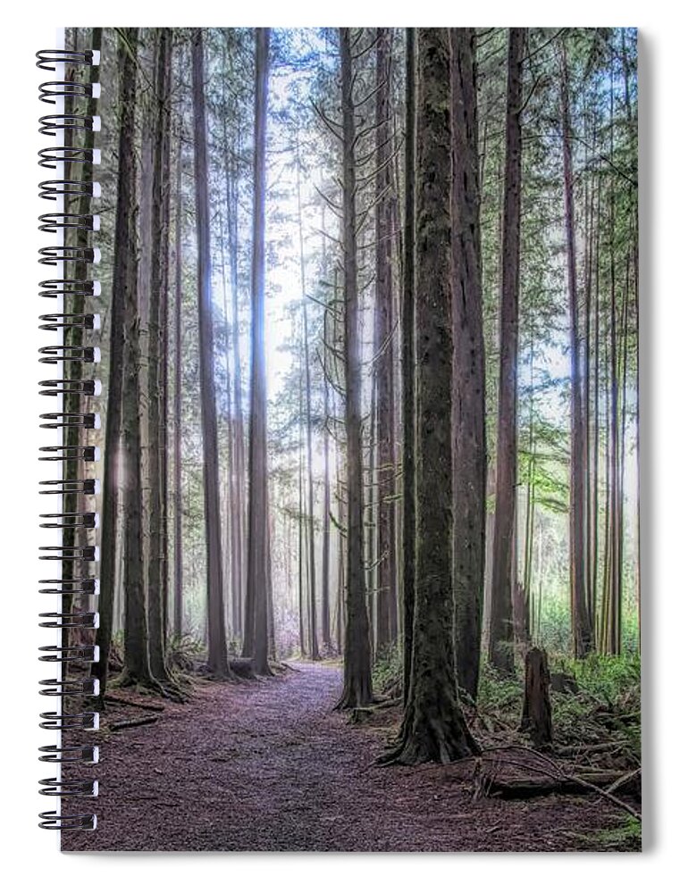 Landscape Spiral Notebook featuring the photograph A Path Through Old Growth Stylized by Allan Van Gasbeck