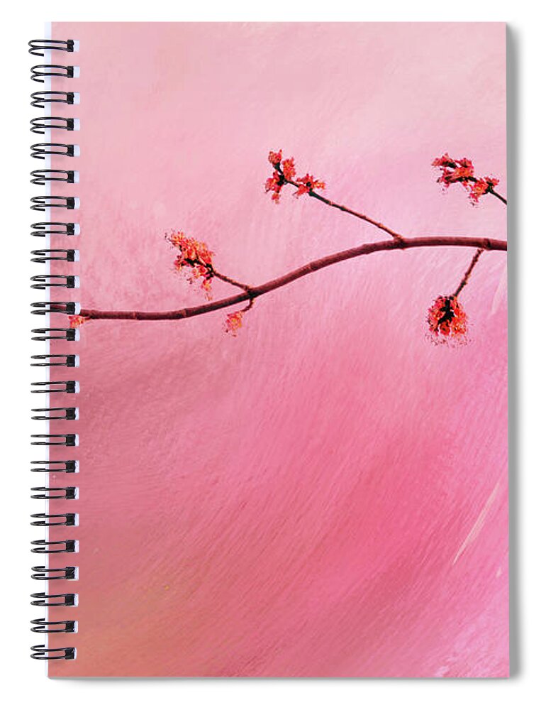 Abstract Spiral Notebook featuring the photograph Abstract Maple Flower Branch by Anita Pollak