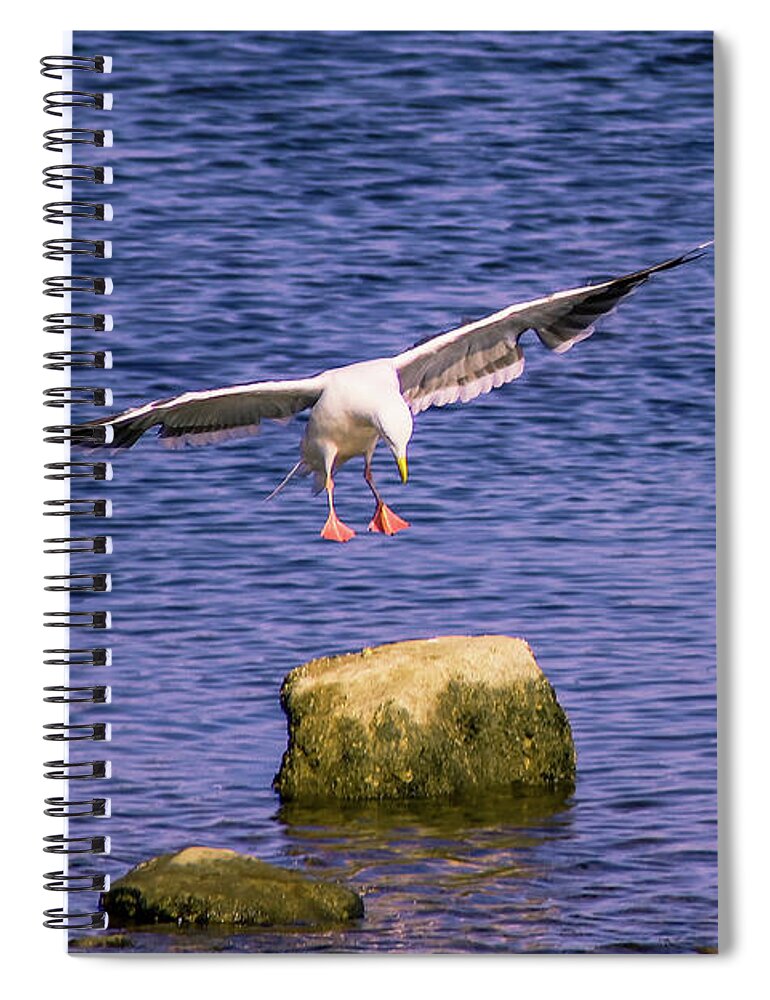 Birds Spiral Notebook featuring the photograph Aerial Assault by Marcus Jones