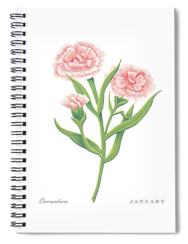 Carnation Spiral Notebook featuring the painting Carnation January Birth Month Flower Botanical Print on White - Art by Jen Montgomery by Jen Montgomery