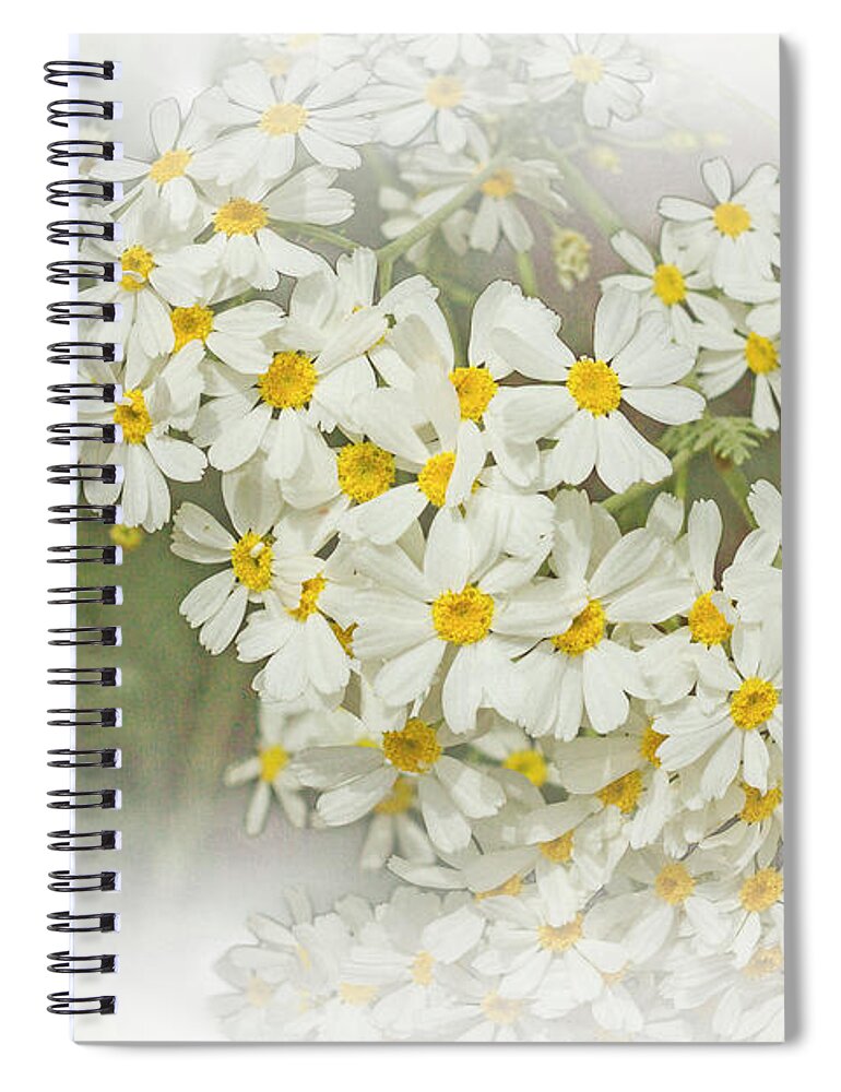 Flowers Spiral Notebook featuring the photograph Wormwood Flower 2 by Elaine Teague