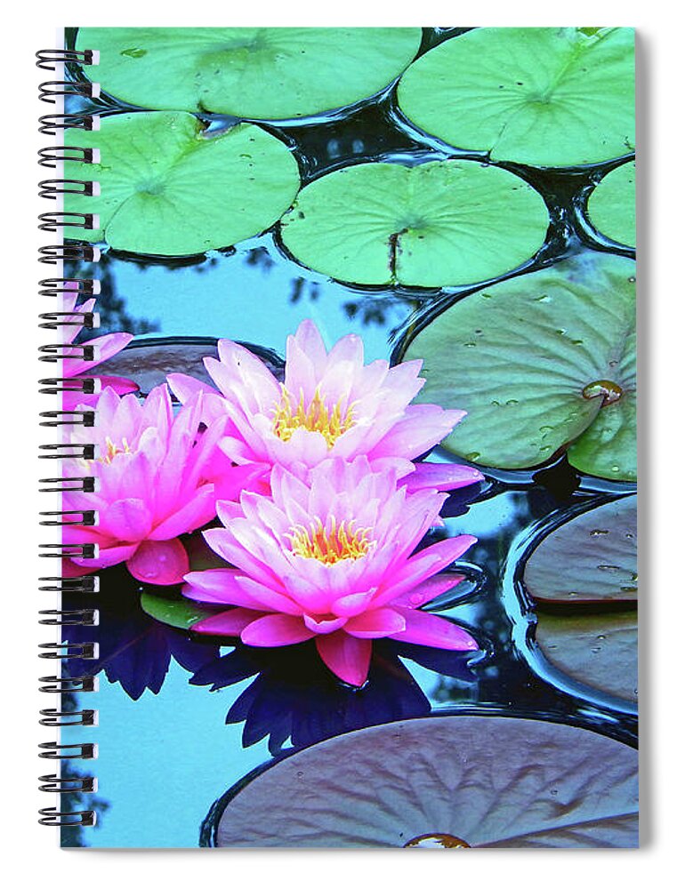 Nature Spiral Notebook featuring the photograph Pink Waterlilies Horizontal 300			 by Sharon Williams Eng