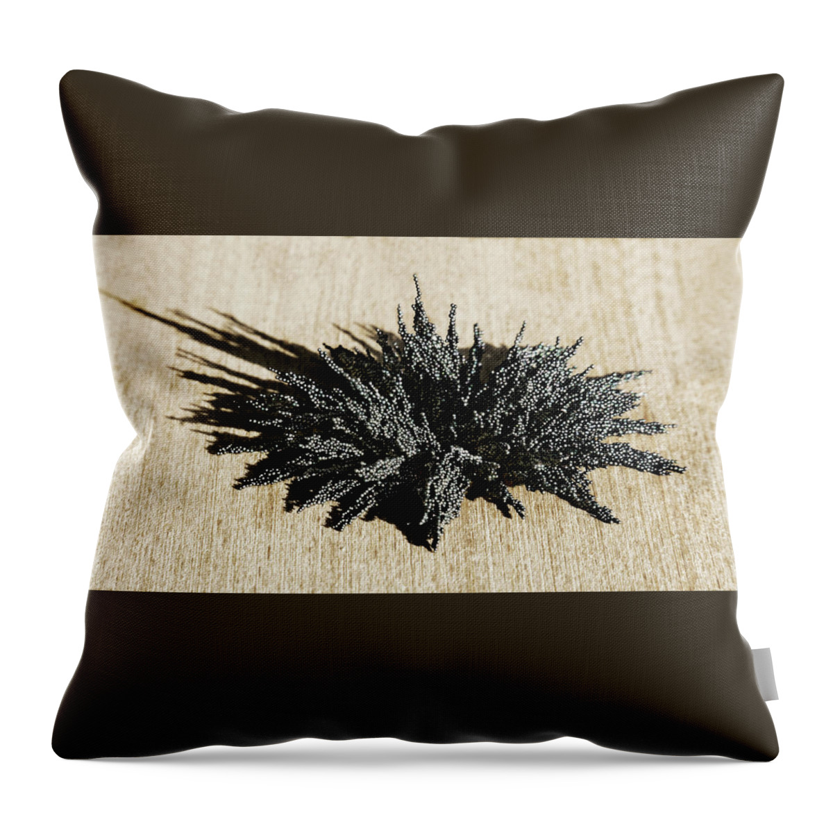 Magnetic Explosion Throw Pillow featuring the photograph Magnetic Explosion 04 by Weston Westmoreland