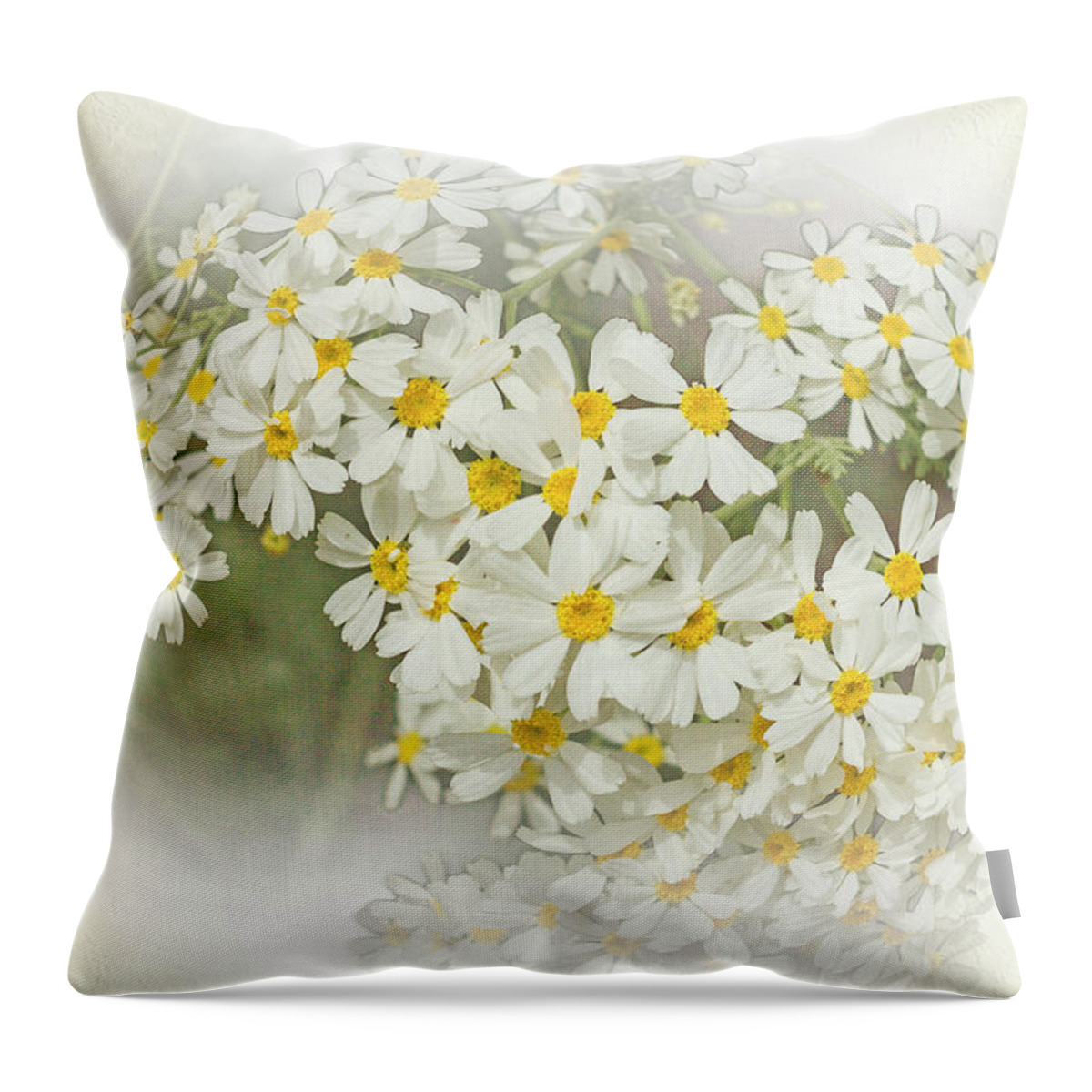 Flowers Throw Pillow featuring the photograph Wormwood Flower 2 by Elaine Teague