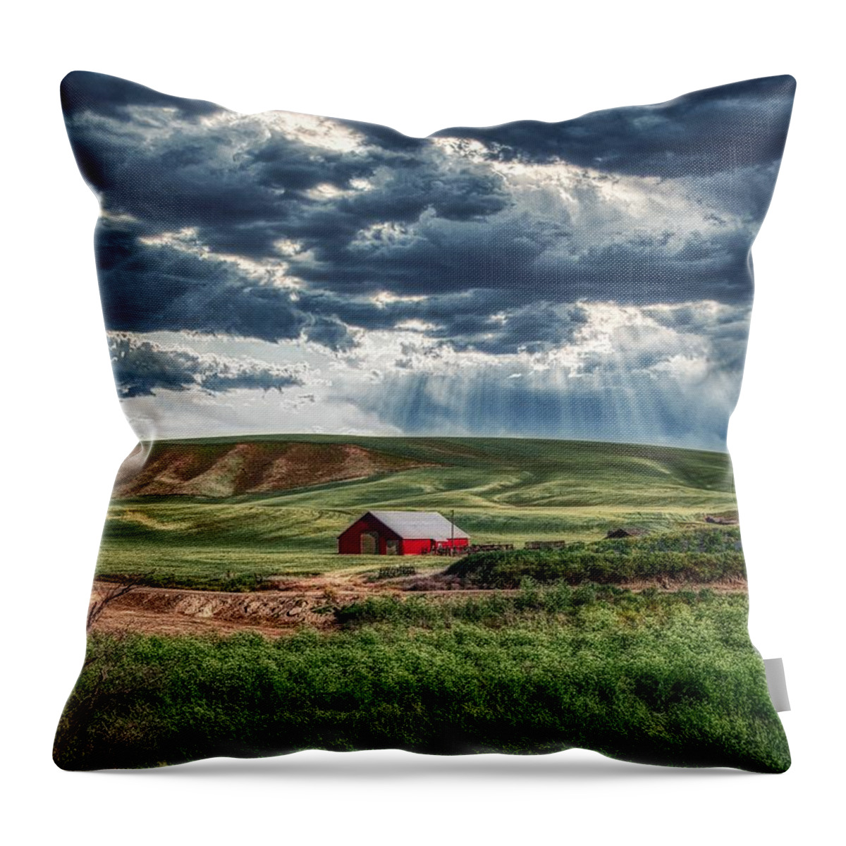 Red Barn Throw Pillow featuring the photograph The Distant Red Barn by Mountain Dreams