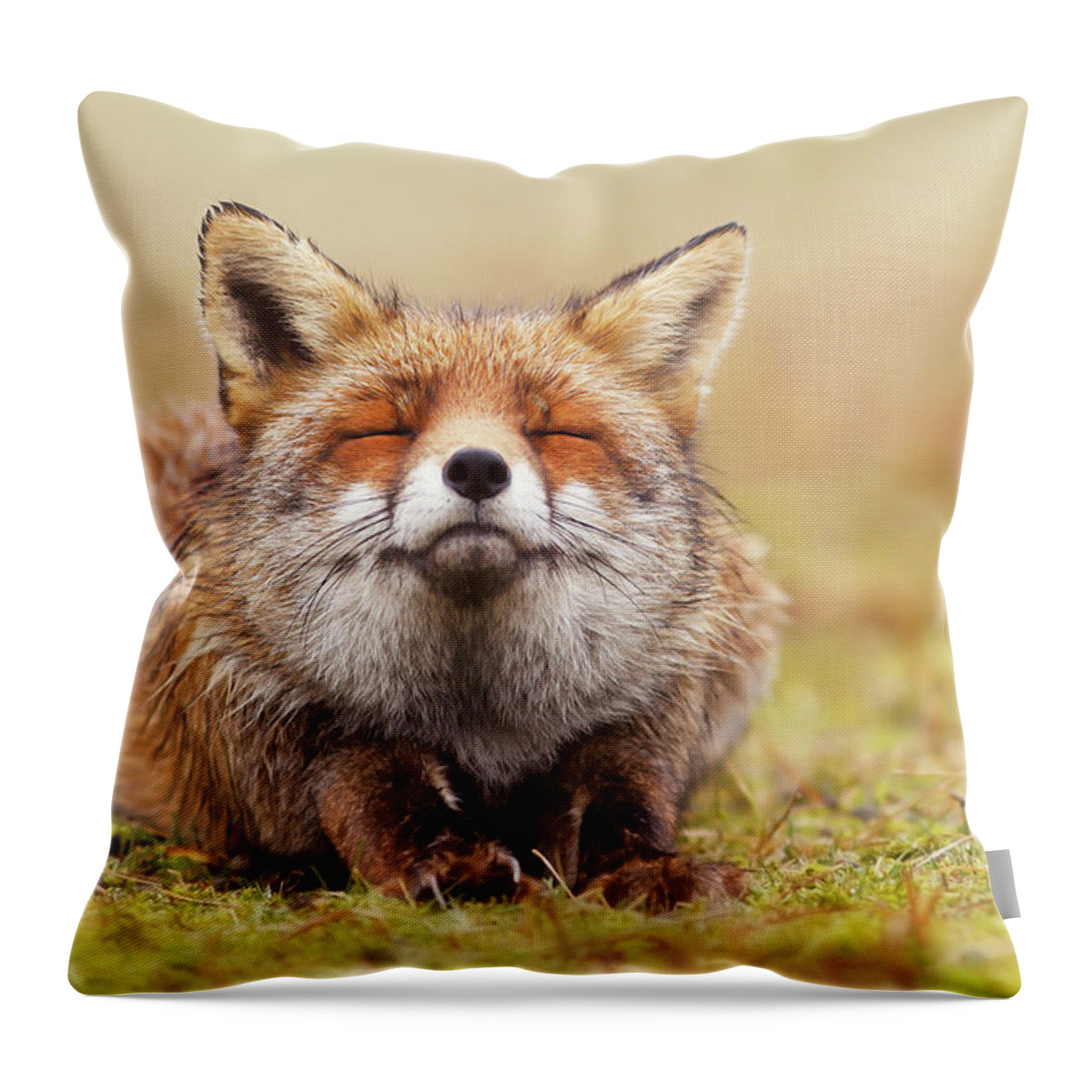 Fox Throw Pillow featuring the photograph The Smiling Fox by Roeselien Raimond