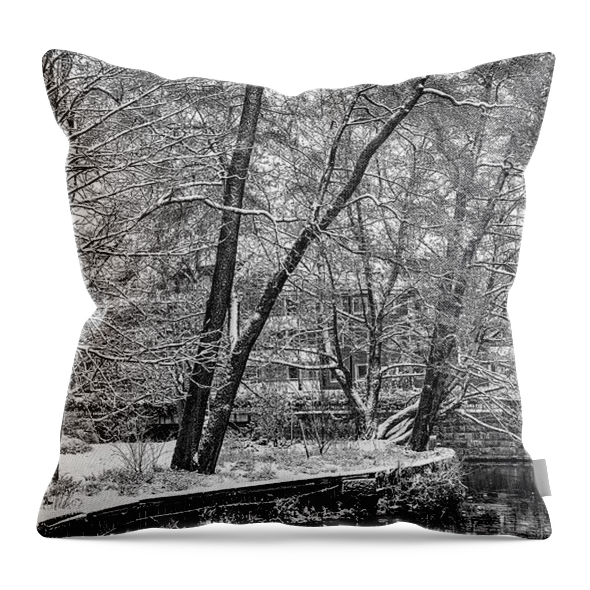 Winter Morning Bw Throw Pillow featuring the photograph winter morning BW #k6 by Leif Sohlman
