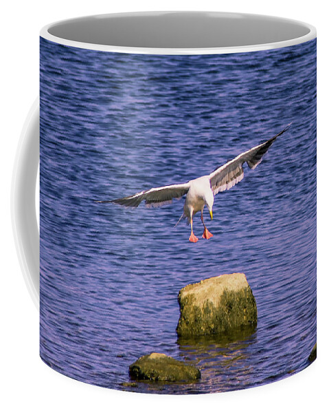 Birds Coffee Mug featuring the photograph Aerial Assault by Marcus Jones