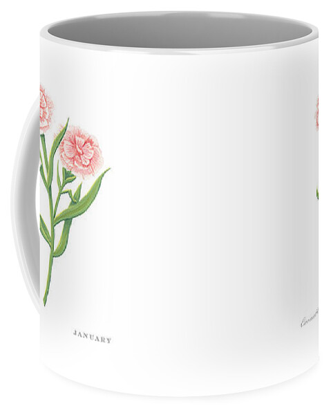 Carnation Coffee Mug featuring the painting Carnation January Birth Month Flower Botanical Print on White - Art by Jen Montgomery by Jen Montgomery