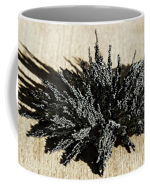 Magnetic Explosion Coffee Mug featuring the photograph Magnetic Explosion 04 by Weston Westmoreland