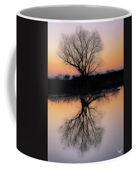 Silhouette Coffee Mug featuring the photograph Silhouette at Dawn by Pam Rendall