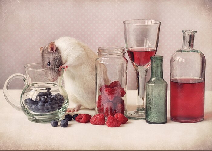 Fruit Greeting Card featuring the photograph Curious #1 by Ellen Van Deelen