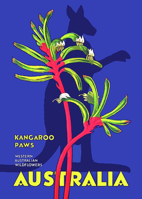 Australia Greeting Card featuring the painting Australia, Kangaroo Paws by Long Shot