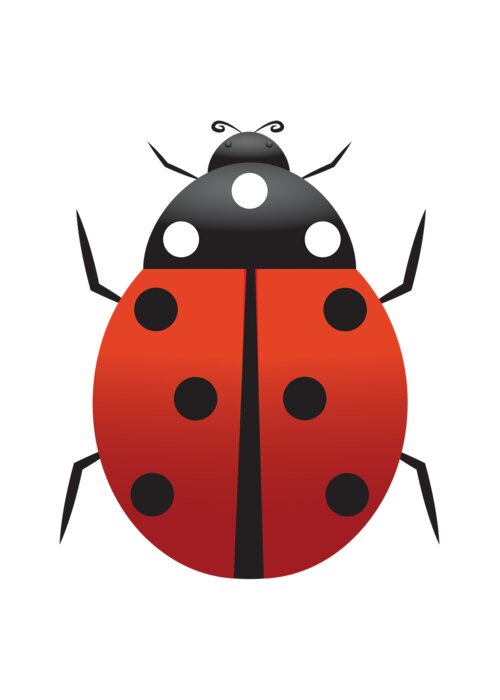 Ladybugs Greeting Card featuring the digital art Ladybugs by David Millenheft