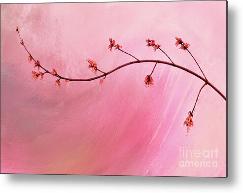 Abstract Metal Print featuring the photograph Abstract Maple Flower Branch by Anita Pollak