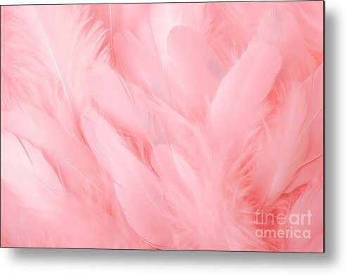Soft pink feathers texture background. Swan Feather Framed Print by N  Akkash - Fine Art America