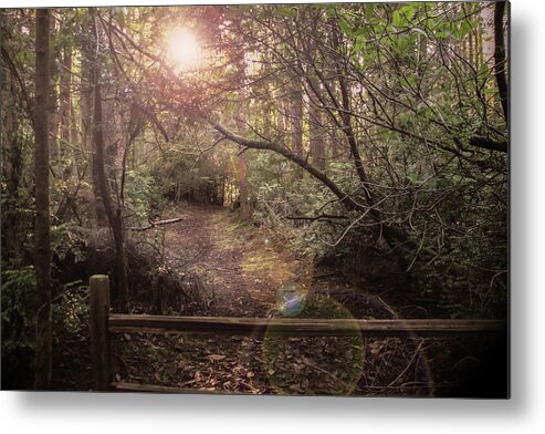 South Slough Estuary Metal Print featuring the photograph The Way to the Rabbit Hole by Sally Bauer