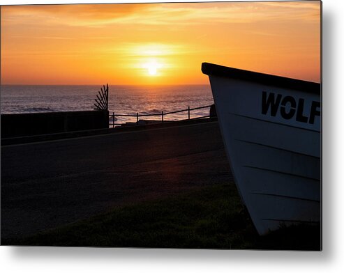 Wolf Withernsea Metal Print featuring the photograph Wolf Withernsea by Tim Hill