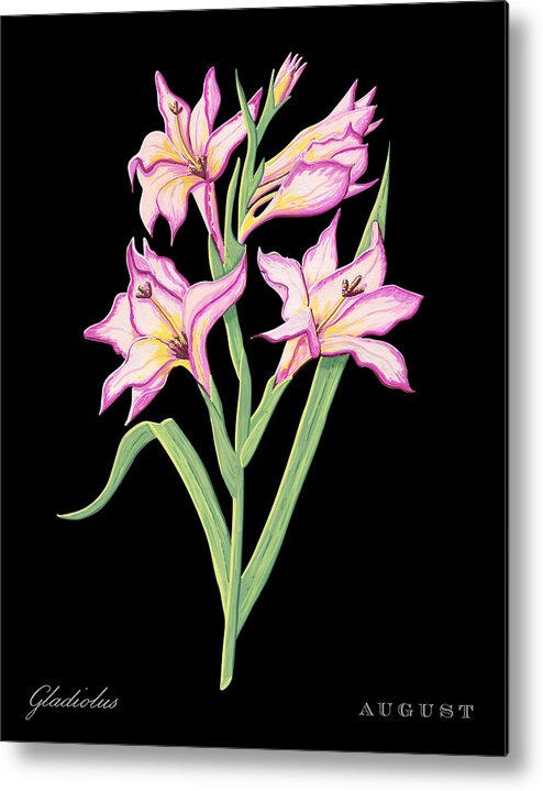 Gladiolus Metal Print featuring the painting Gladiolus August Birth Month Flower Botanical Print on Black - Art by Jen Montgomery by Jen Montgomery