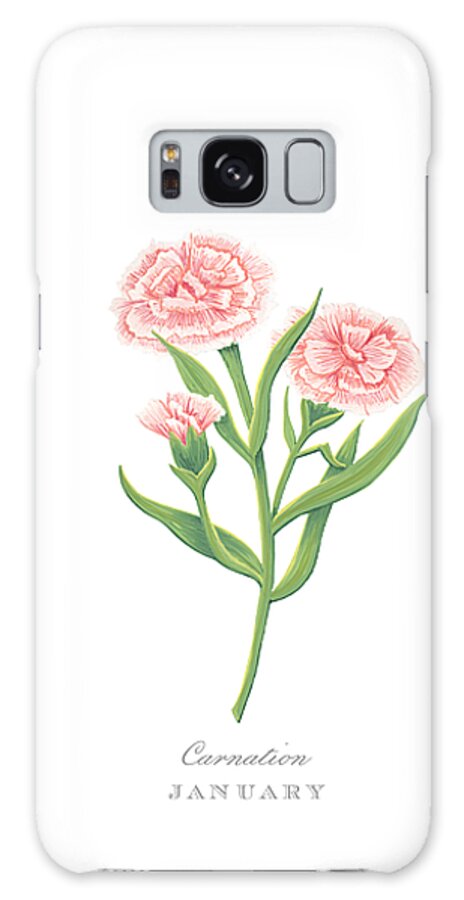 Carnation Galaxy Case featuring the painting Carnation January Birth Month Flower Botanical Print on White - Art by Jen Montgomery by Jen Montgomery