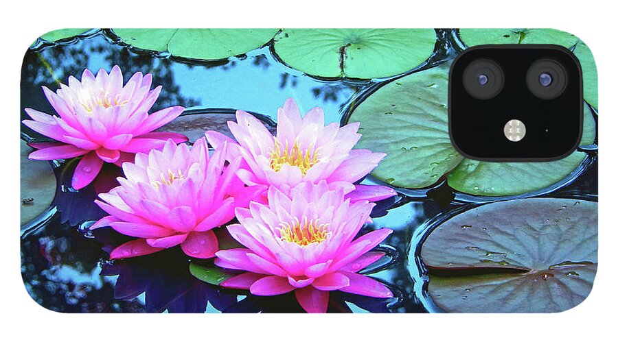Nature iPhone 12 Case featuring the photograph Pink Waterlilies Horizontal 300			 by Sharon Williams Eng