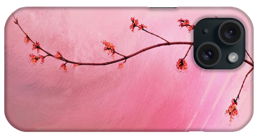 Abstract iPhone Case featuring the photograph Abstract Maple Flower Branch by Anita Pollak