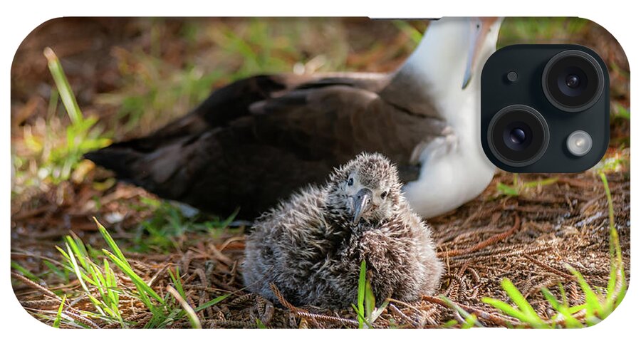 Kauai iPhone Case featuring the photograph Laysan Albatross and Chick IV. by Doug Davidson