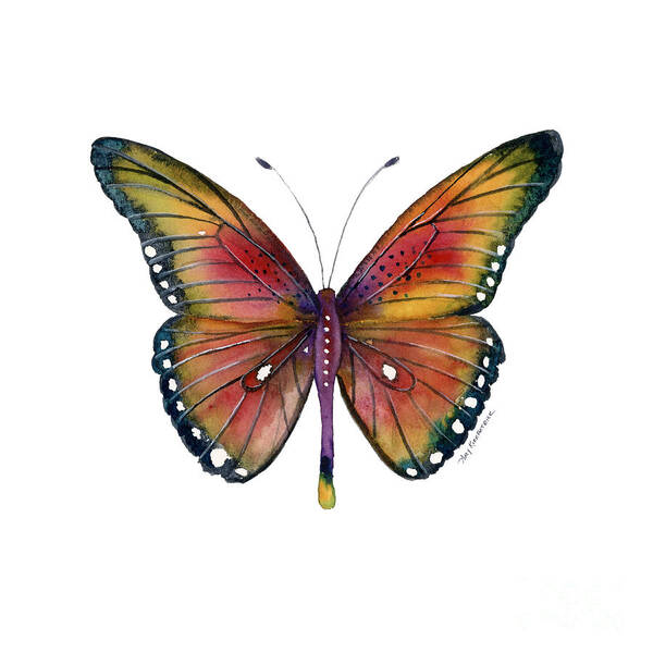 Spotted Butterfly Poster featuring the painting 66 Spotted Wing Butterfly by Amy Kirkpatrick