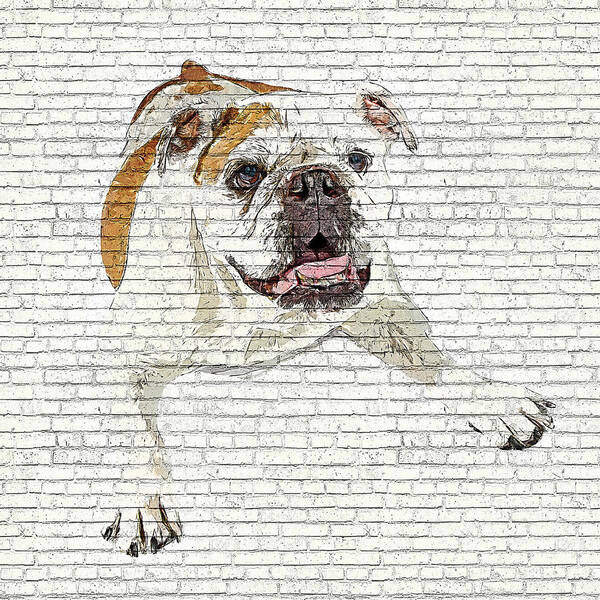 Bulldog Poster featuring the painting So Awkwardly Cute, Bulldog - Brick Block Background by Custom Pet Portrait Art Studio