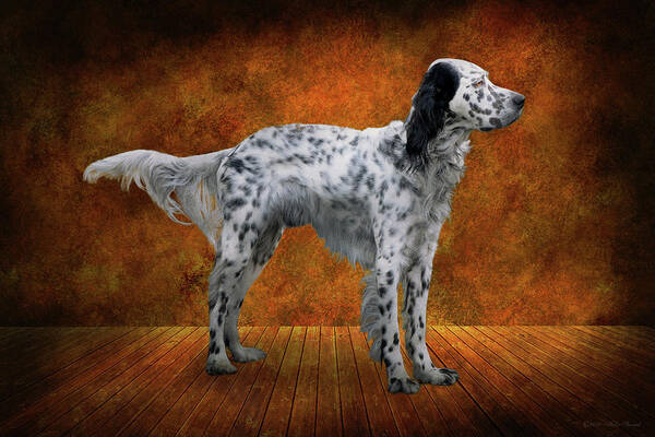 Dog Art Print featuring the photograph Animal - Dog - The English Settershow by Mike Savad