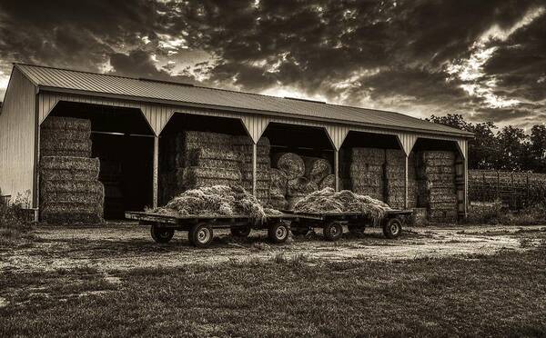 Hay Art Print featuring the photograph In By The End Of The Day by Mountain Dreams