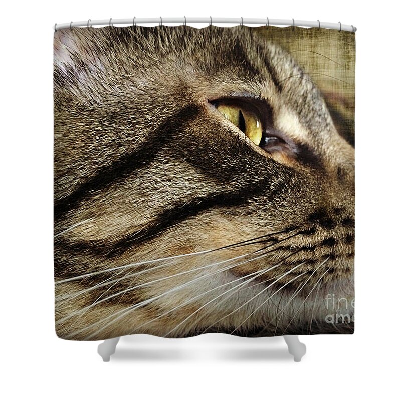 Joseph's Profile Shower Curtain featuring the photograph Joseph's Profile by Kathy M Krause