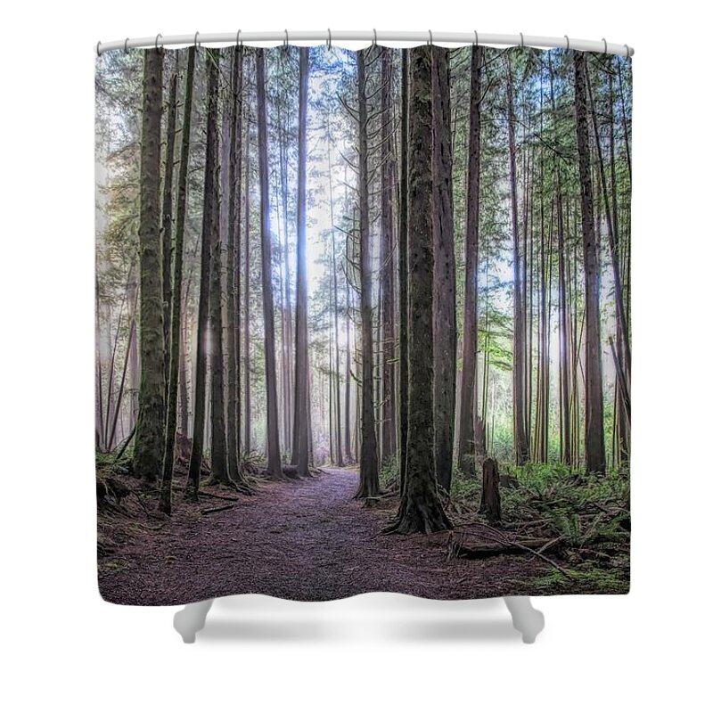 Landscape Shower Curtain featuring the photograph A Path Through Old Growth Stylized by Allan Van Gasbeck