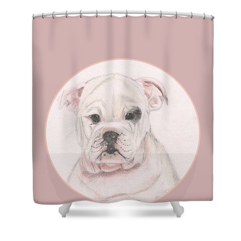 English Shower Curtain featuring the drawing Cute White Hand Drawn English Bulldog Puppy by Barefoot Bodeez Art