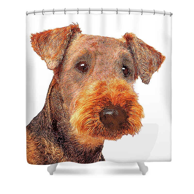 Airedale Shower Curtain featuring the painting Totally Adorable, Airedale Terrier Dog by Custom Pet Portrait Art Studio