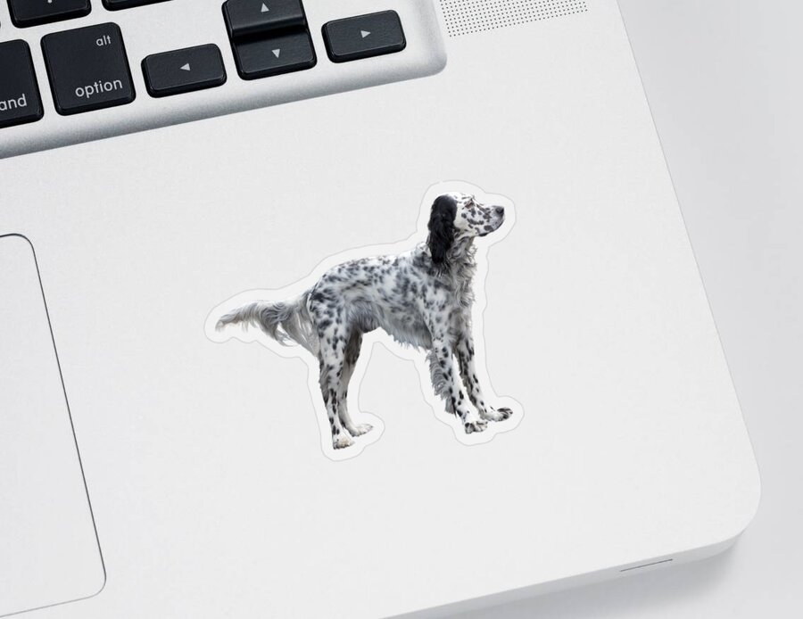 Dog Sticker featuring the photograph Animal - Dog - The English Settershow by Mike Savad